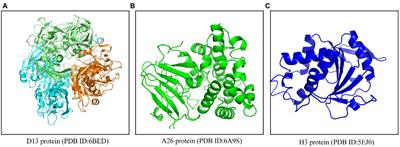 Targeting envelope proteins of poxviruses to repurpose phytochemicals against monkeypox: An in silico investigation